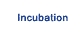 Business Incubation